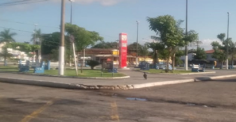 MP recomendará ao município de Itapecuru criar lei sobre plantio de árvores em locais públicos