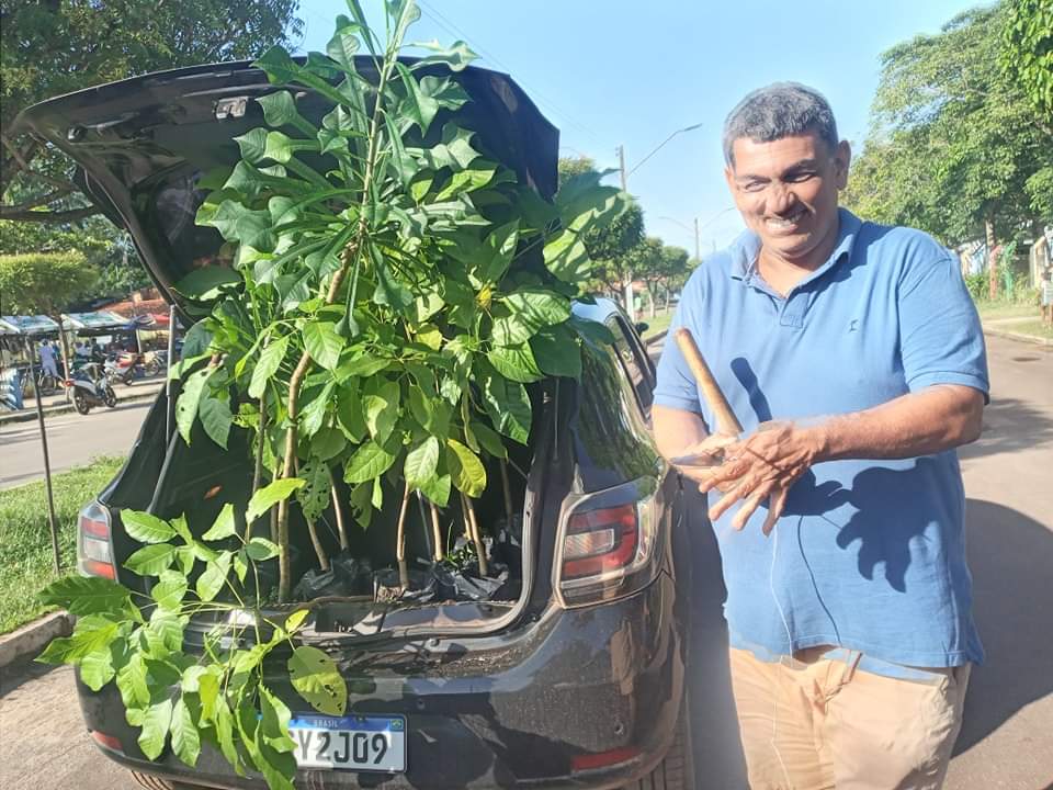 Ribamar Mubarak (azul) plantando mudas no bairro da Aviação em Itapecuru Mirim. Foto: Antônio Carlos 