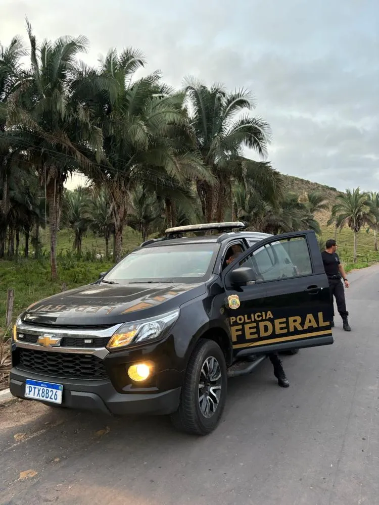 Imagem: Divulgação 