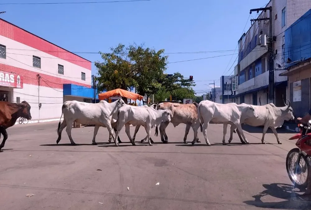 Imagem: itapecurunoticias.com
