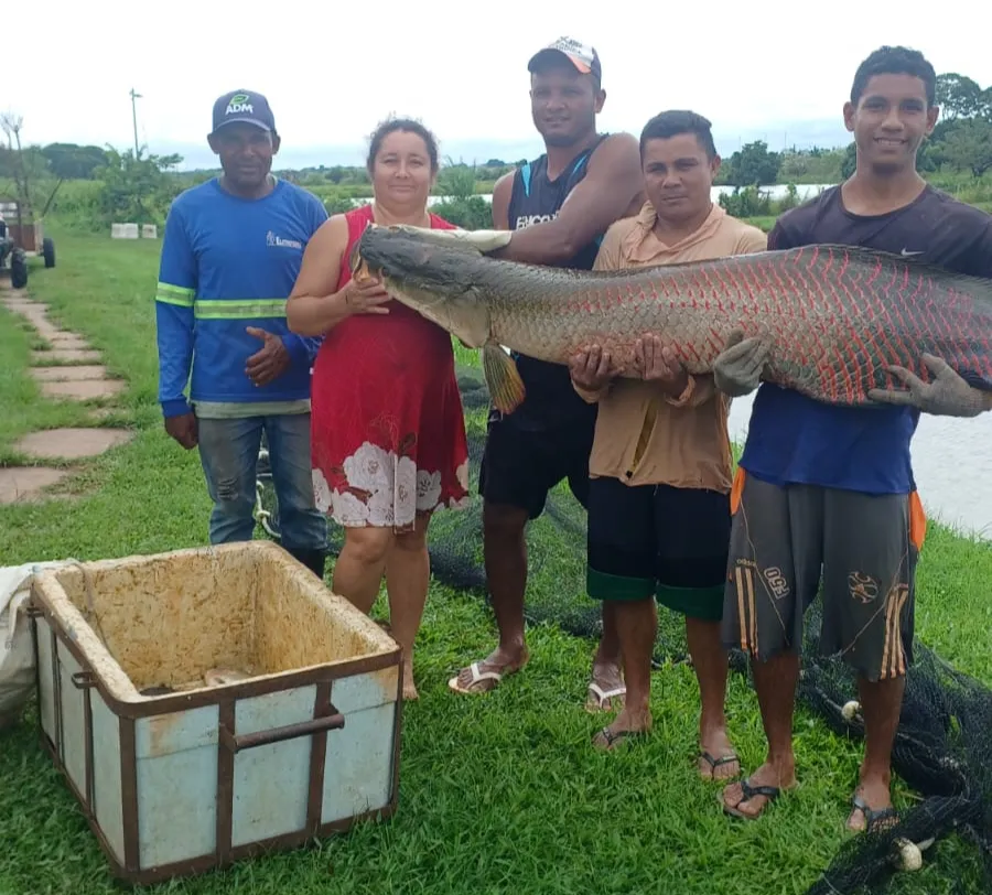 Imagem: Divulgação 