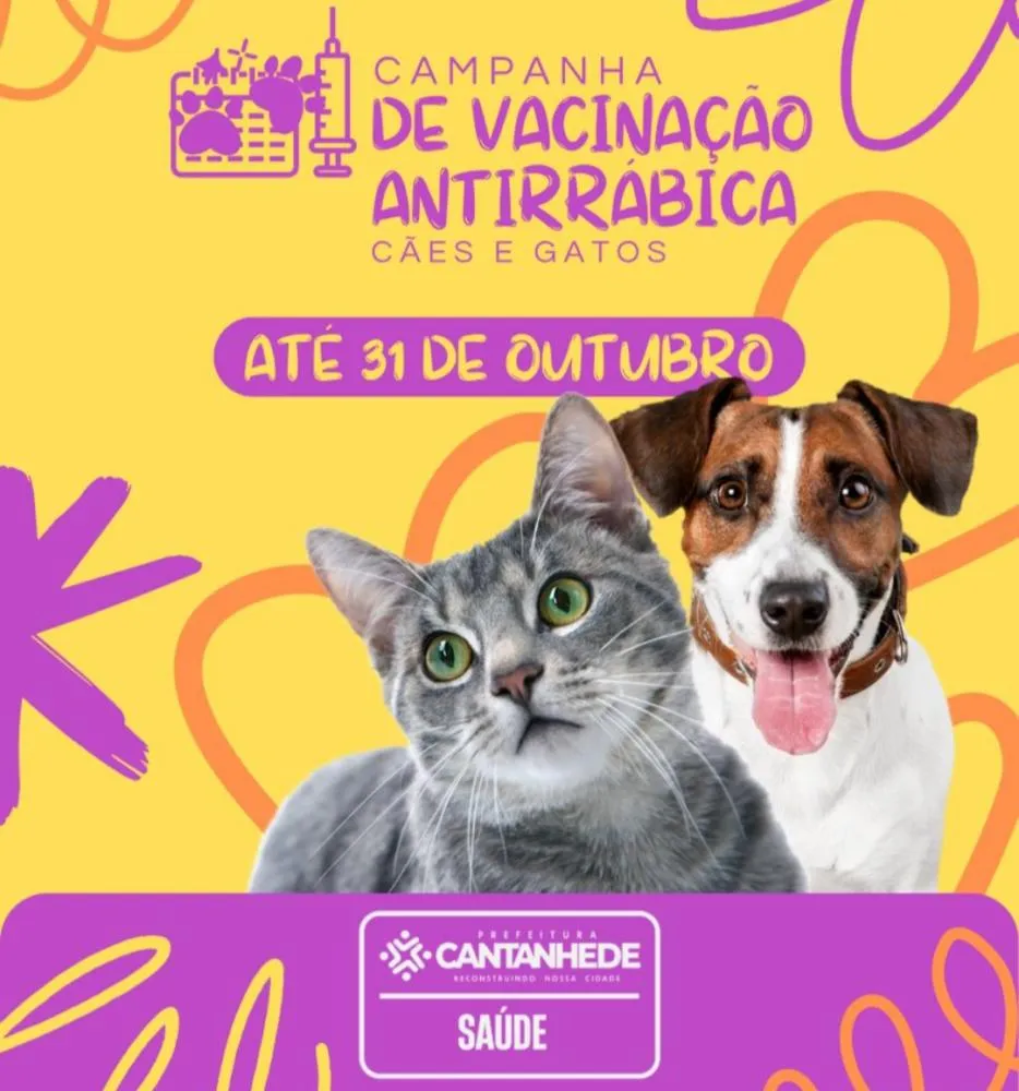 Imagem: Divulgação