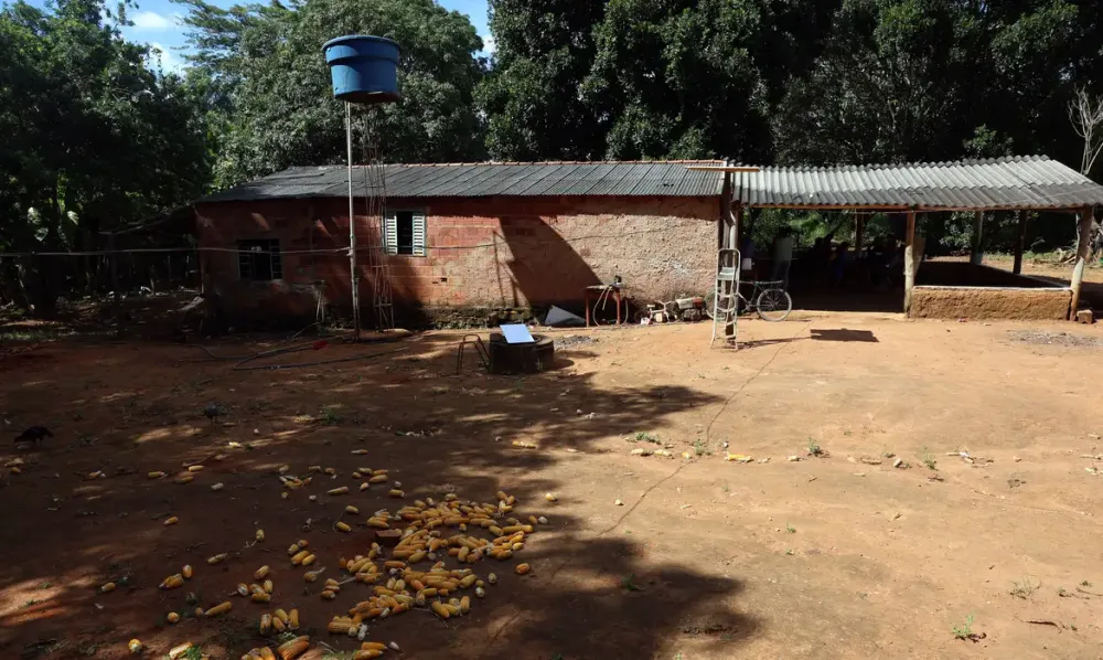 Imagem Reprodução © Valter Campanato/Agência Brasil