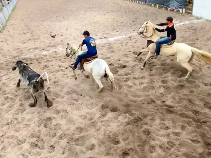 Imagem: Divulgação 