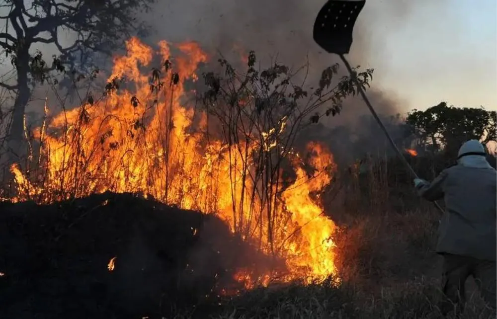 Imagem: Reprodução ©Valter Campanato/Agência Brasil